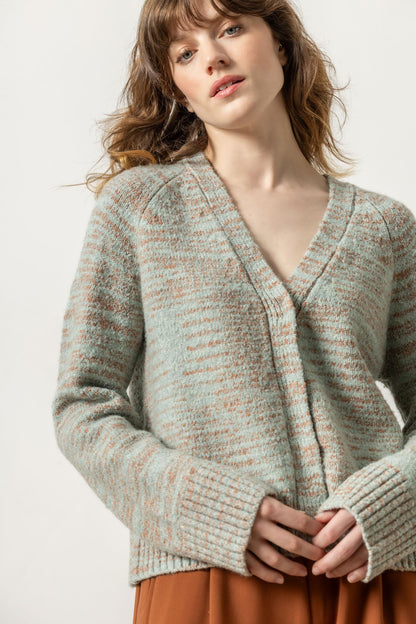 V-Neck Cardigan Sweater in Frost Space Dye by Lilla P