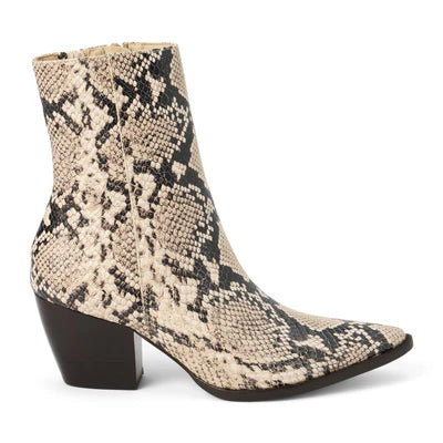 Caty Bootie in neutral snake by Matisse